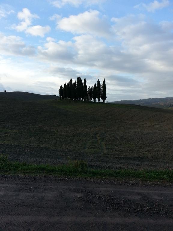 Апартаменти Passaggio In Val D' Orcia Torrenieri Екстер'єр фото