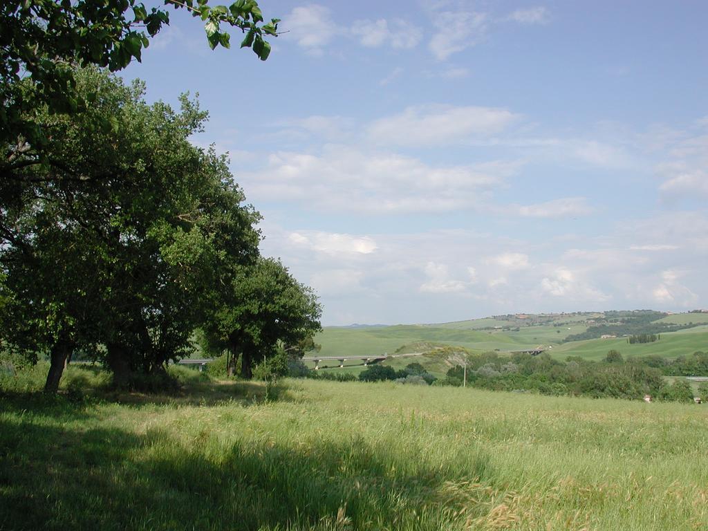 Апартаменти Passaggio In Val D' Orcia Torrenieri Екстер'єр фото